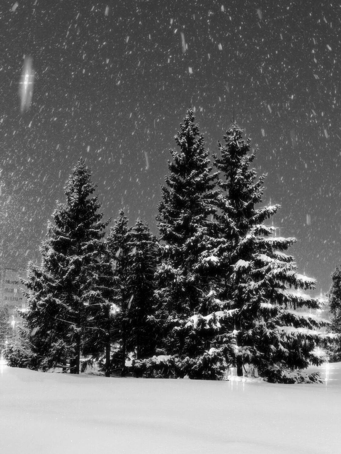 Ночь в снегу