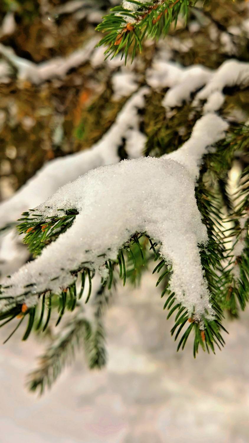 Снежный кадр