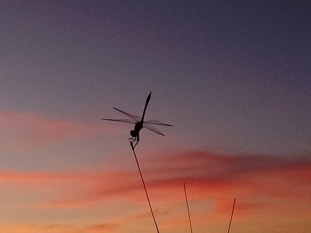 Photograph by Florencia Lovatto