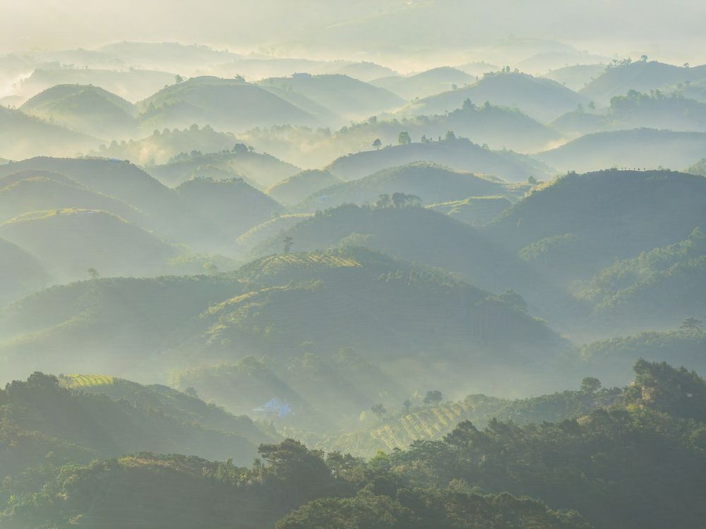 Photograph by Hải Trần