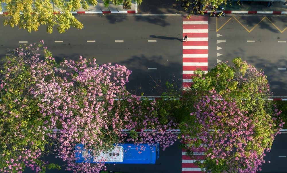 Photograph by Hải Trần