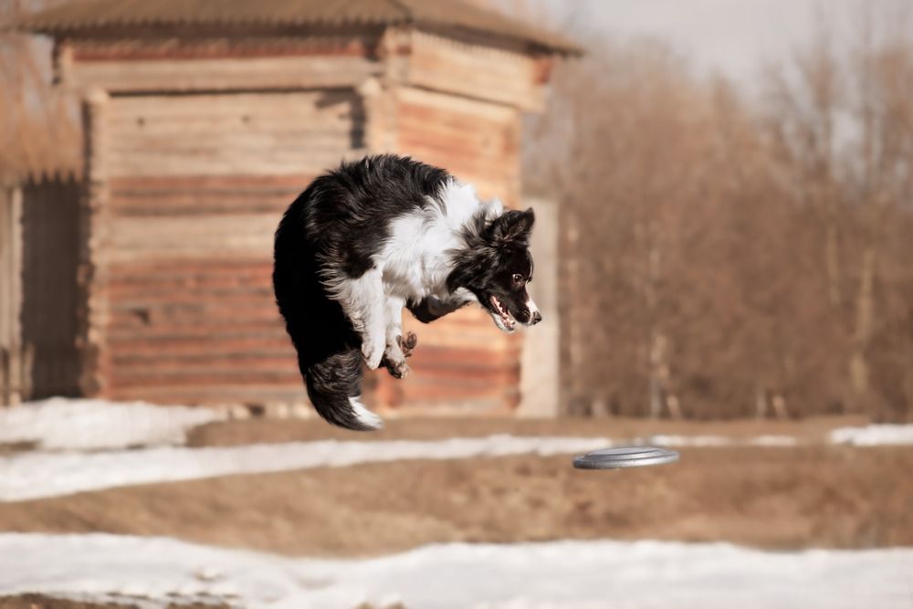 Photograph by Варя Тихонова