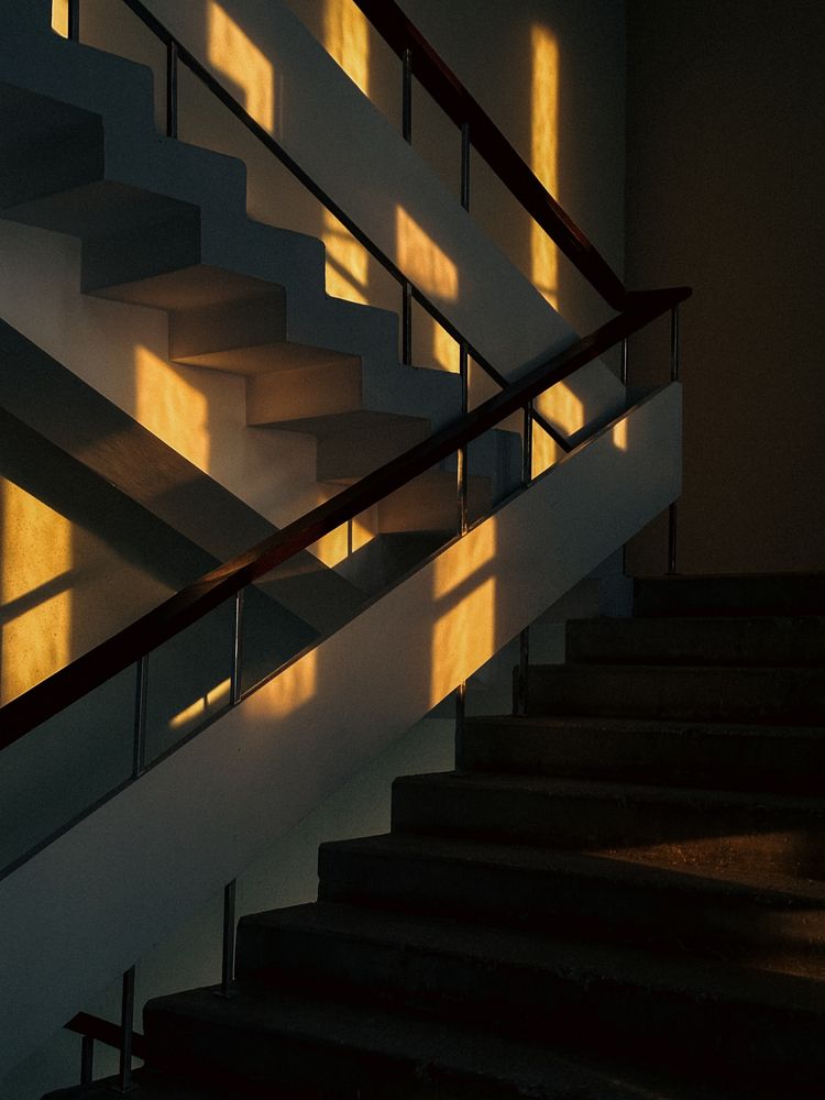 Photograph by Polina Pisar