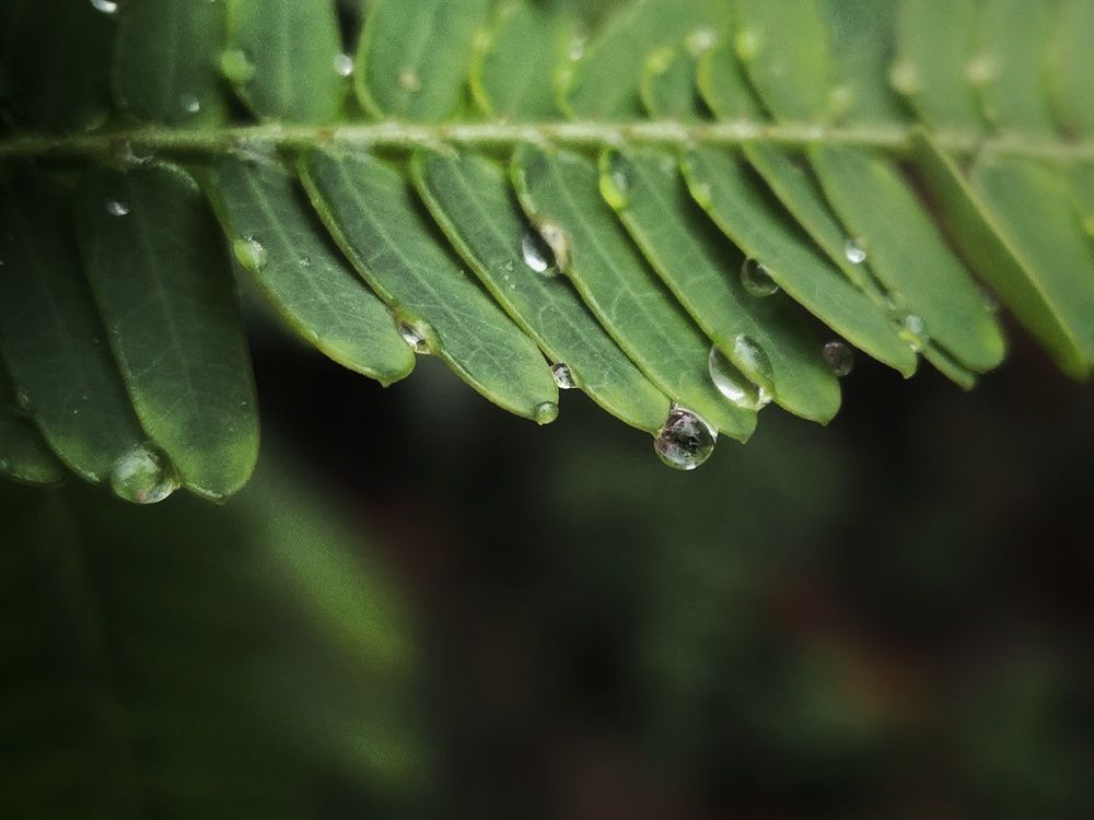 Photograph by Puru Raj