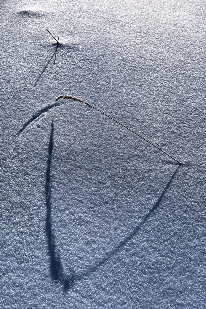 Photograph by Елена Охапкина