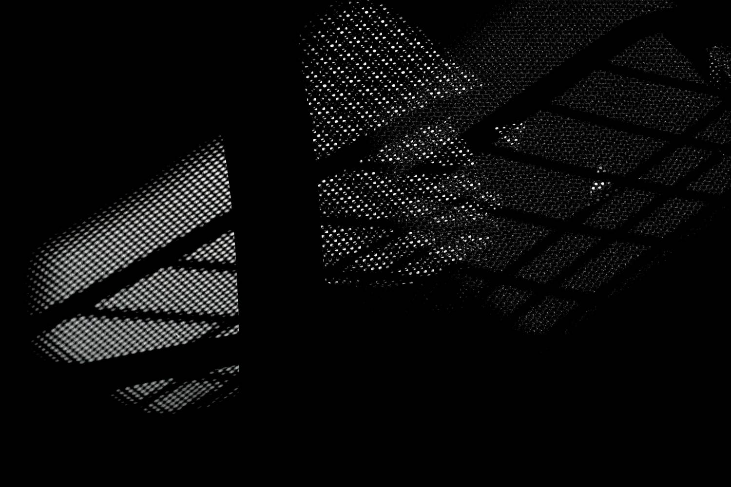 Фотография #13474464