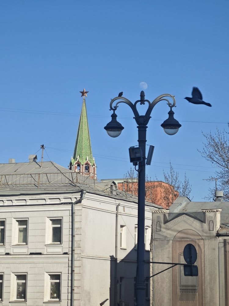 Photograph by Елена Шоколенко