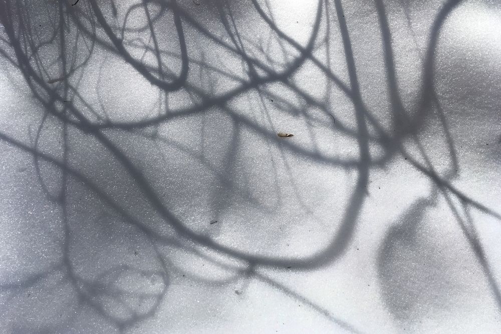 Photograph by Ионова Татьяна