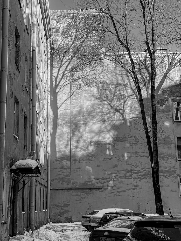 Photograph by Елена Данченко