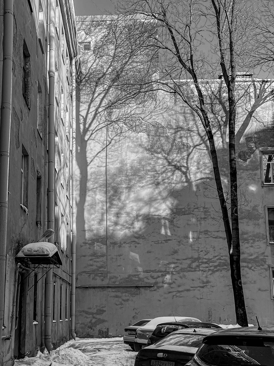 Фотография #13474897