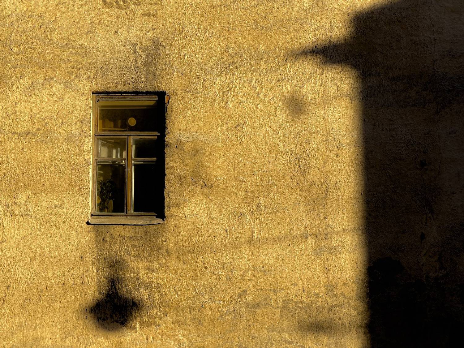 Фотография #13474898