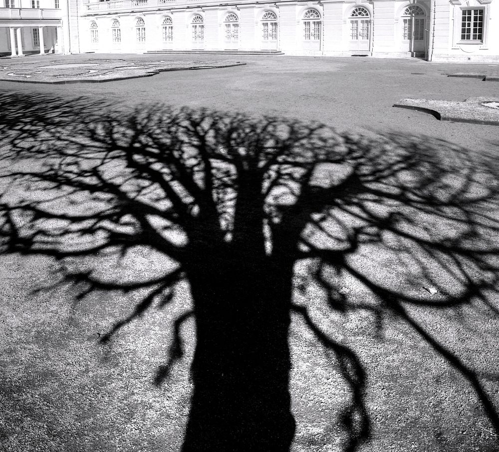 Photograph by Сергей Григорьев