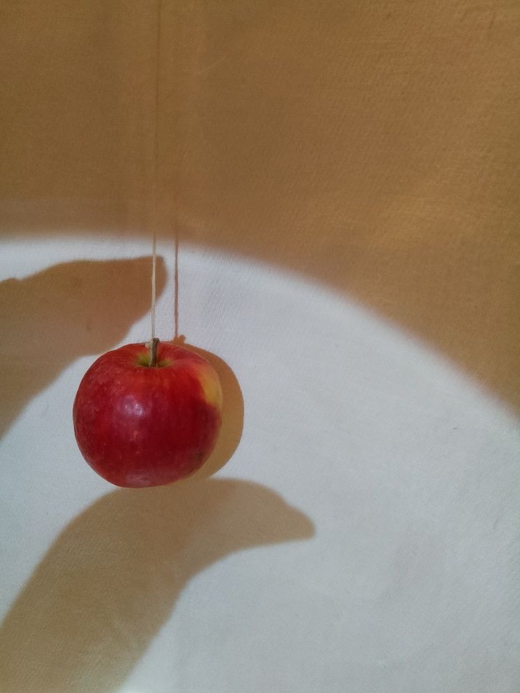 Photograph by Лилия Исхакова