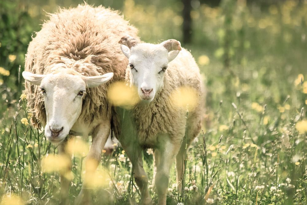 Photograph by Милана Маллер