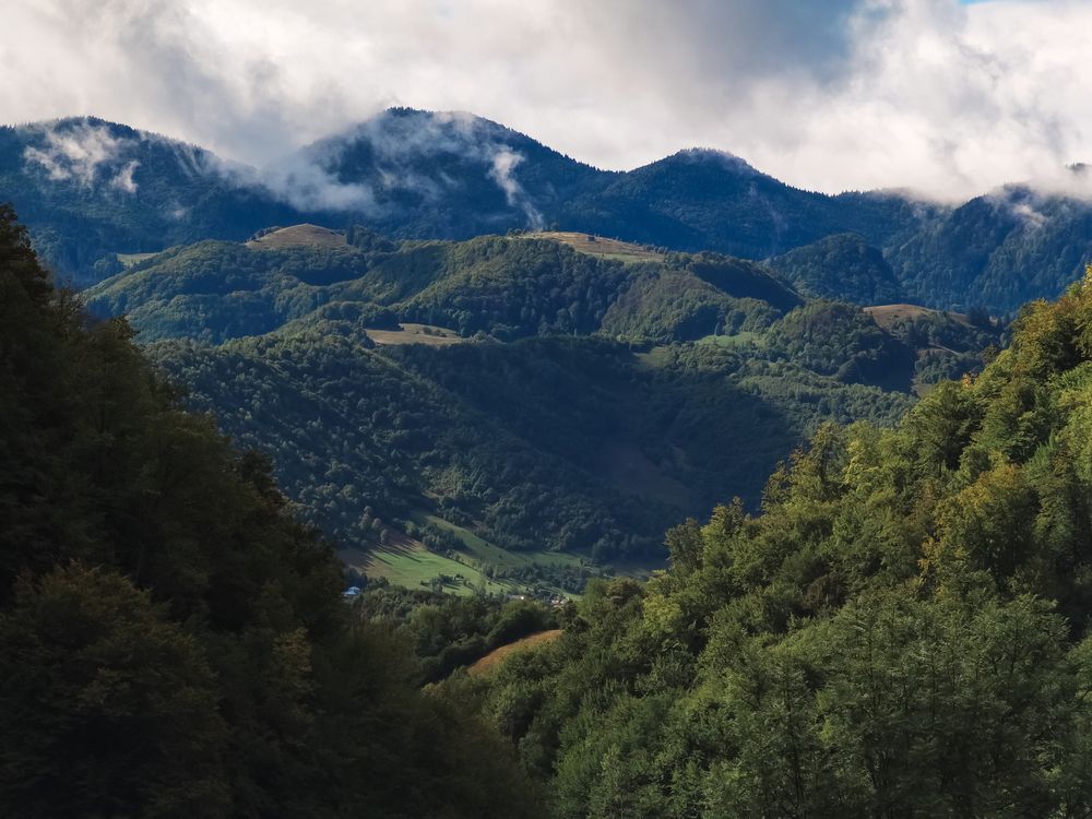 Фотография автора Plesa Ioan Dan
