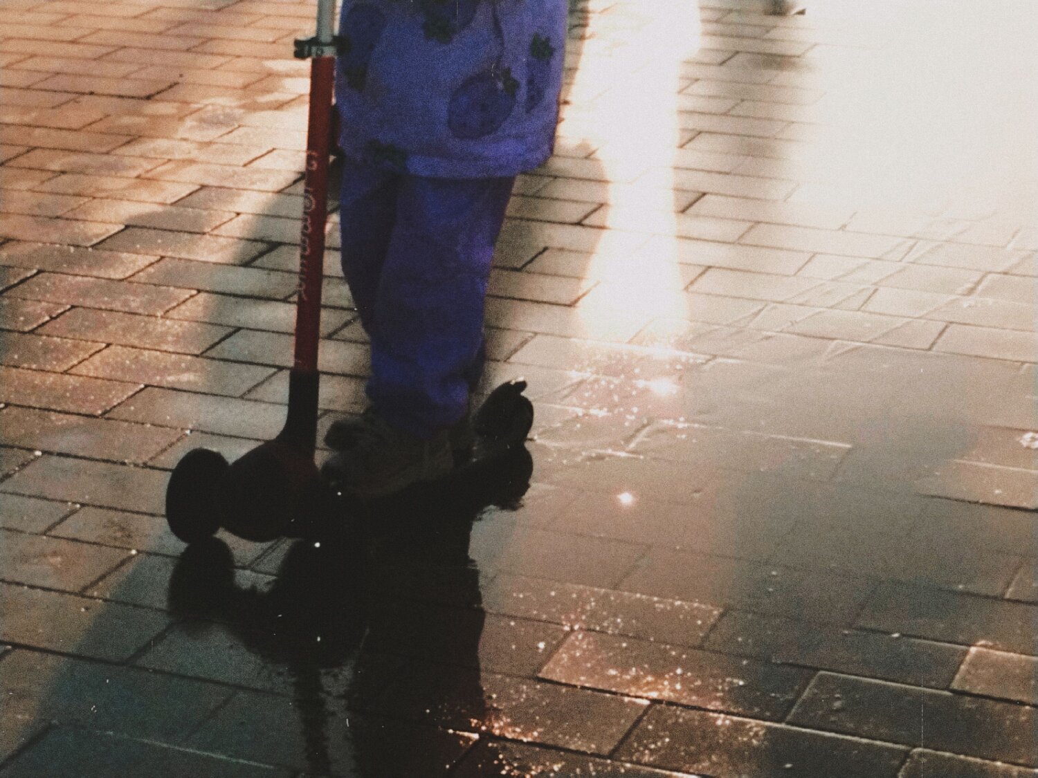 Photo #13475123