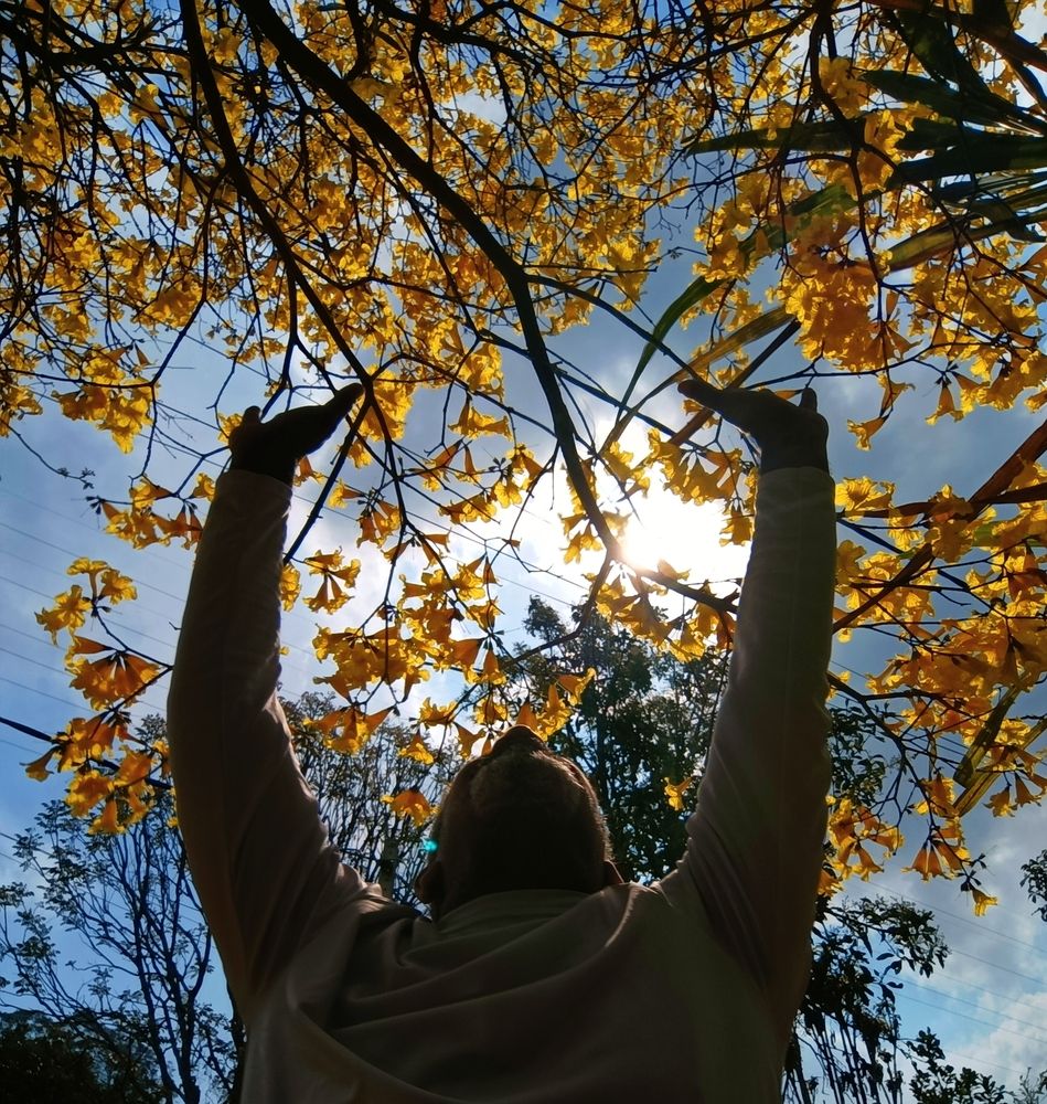 Photograph by Ricardo Rodrigues Gomes Da Silva