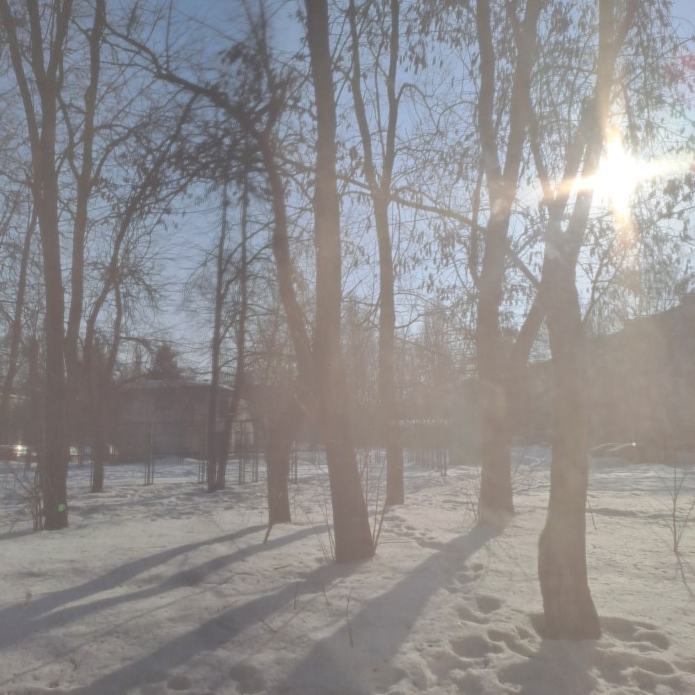 Photograph by Наталья Сдвижкова