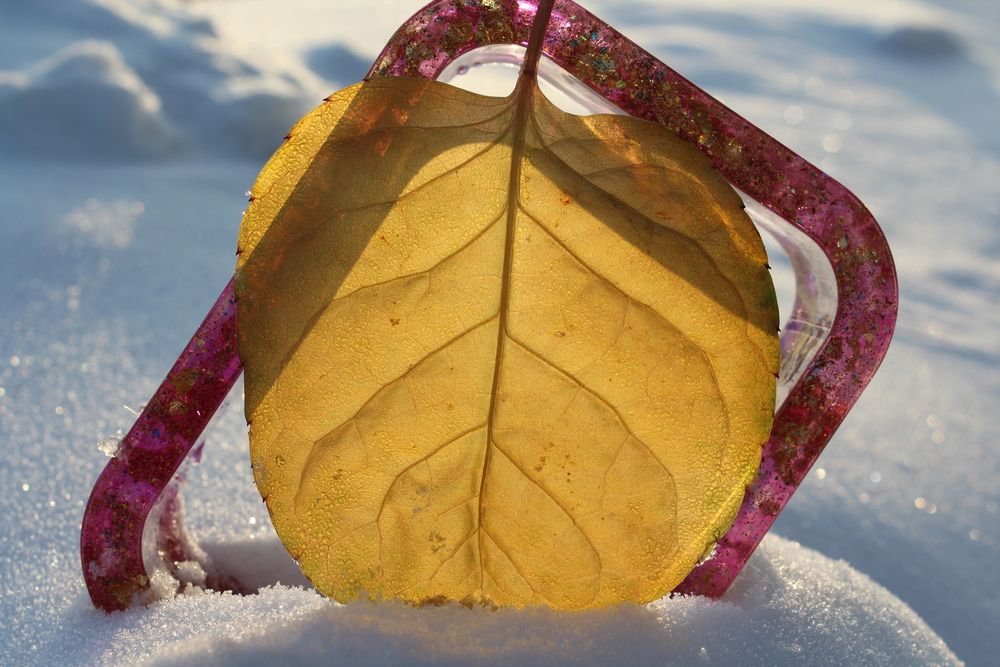 Photograph by Юлия