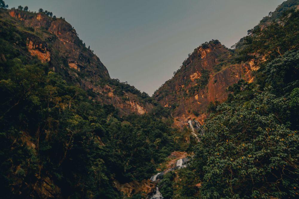 Photograph by Елена Буканина