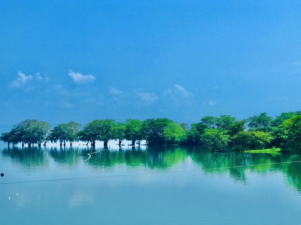 Photograph by Piyumi Kaveesha
