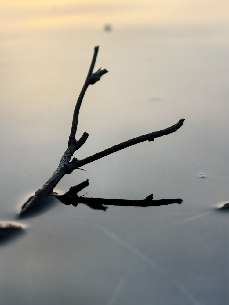 Photograph by Василиса Сметанкина