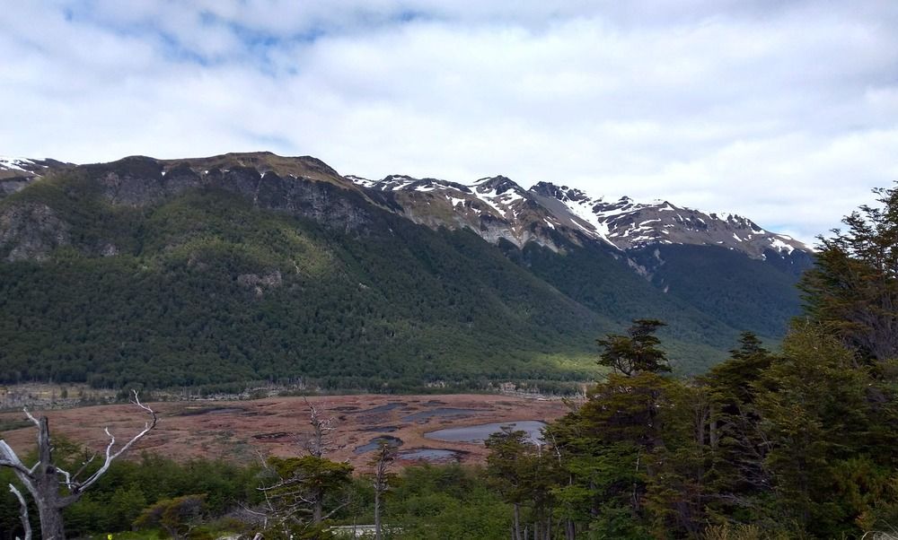 Area lago Escondido.Usuhaia. PATAGONIA ARGENTINA.