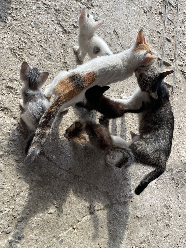 Photograph by Дарья Ларченко