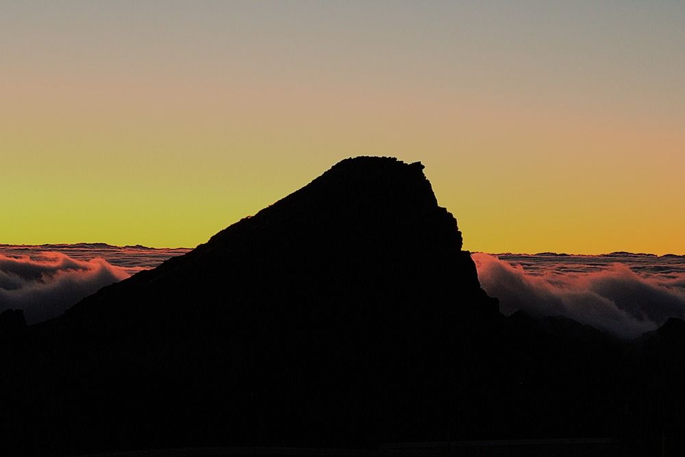 Photograph by Luís Miguel Camacho Silva