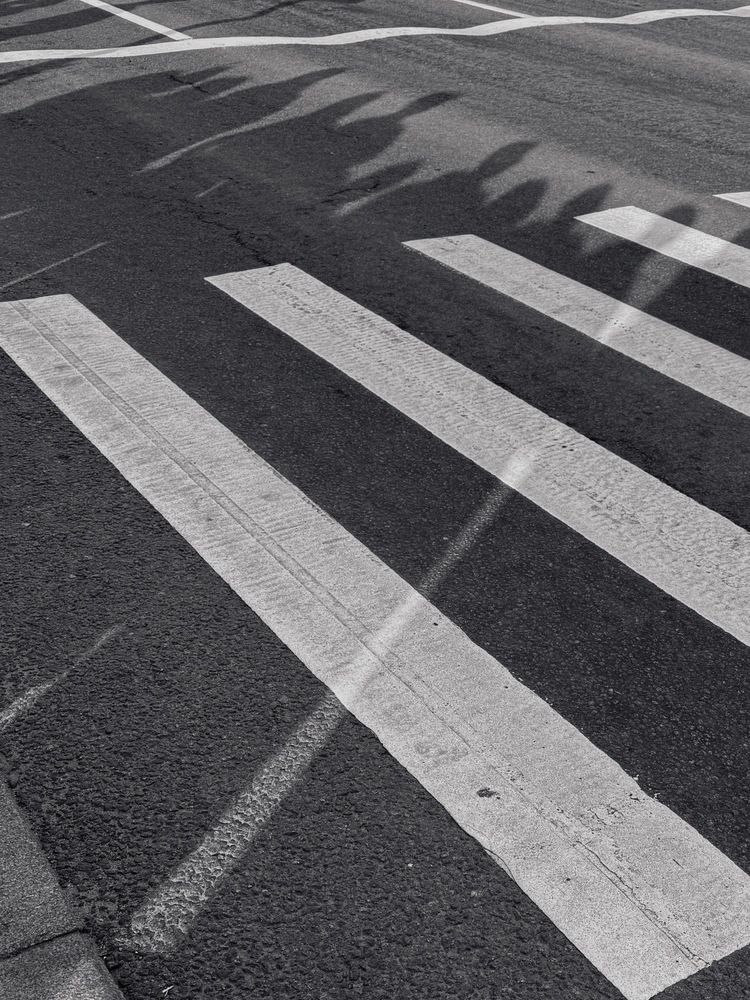 Photograph by Алена Кривцова