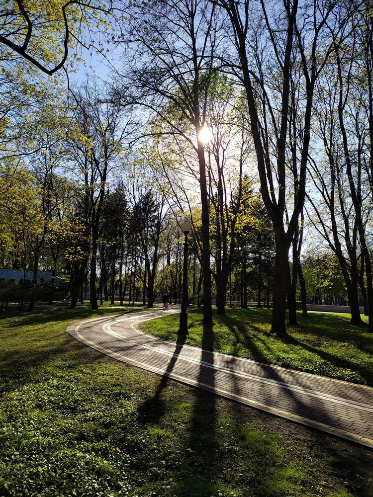 Photograph by Кристина Кердянова