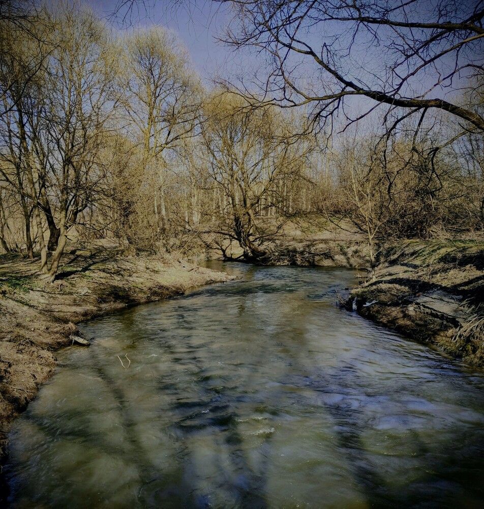 Photograph by Игорь Бахарев