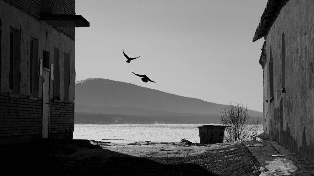 Photograph by Андрей Щербинин