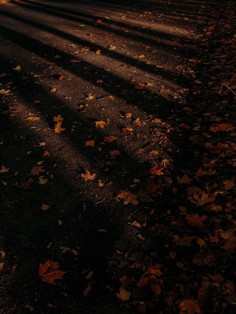 Фотография автора Maria Stankevich