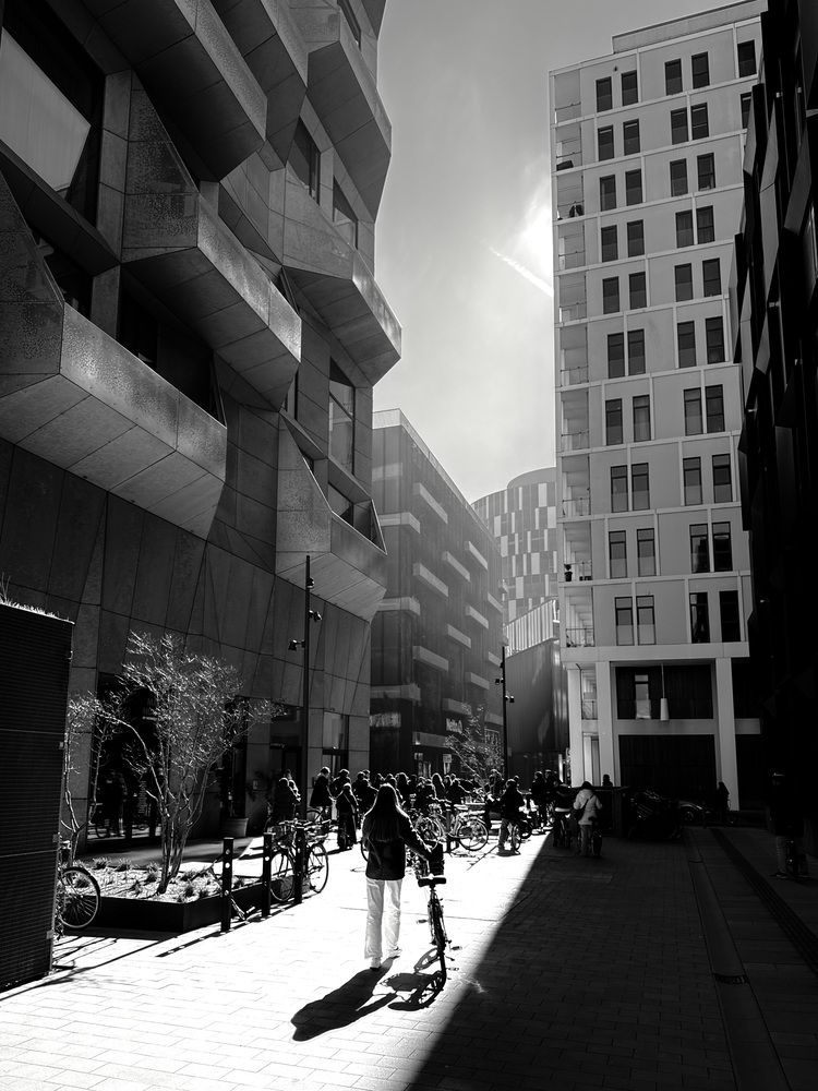 Photograph by Hector Lopez del Castillo