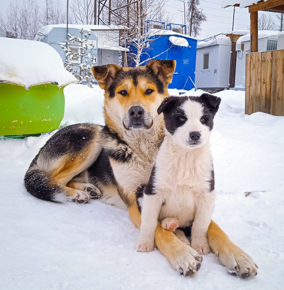 Photograph by Михаил Мархинин