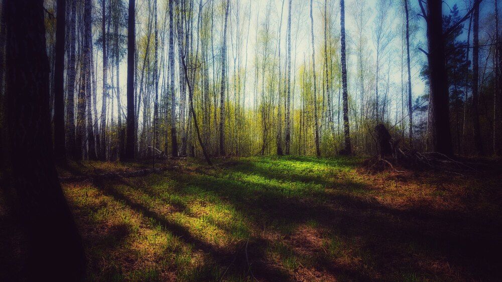 Photograph by Митюшкова Алёна