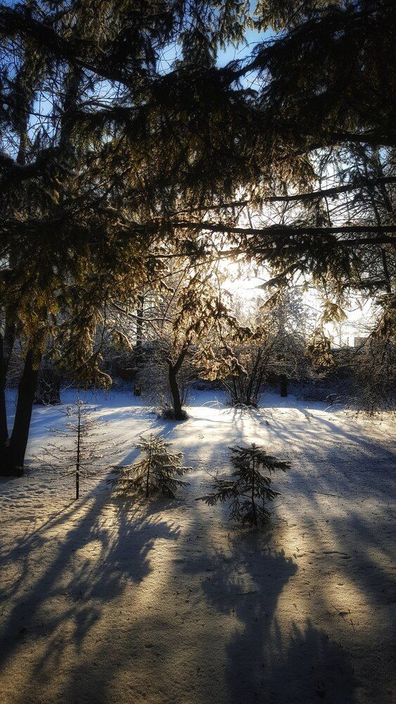 Photograph by Митюшкова Алёна