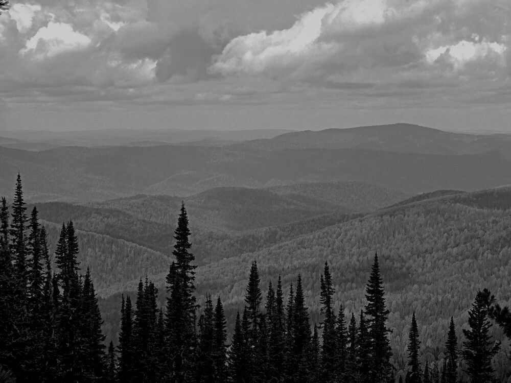 Photograph by Александр Прядко