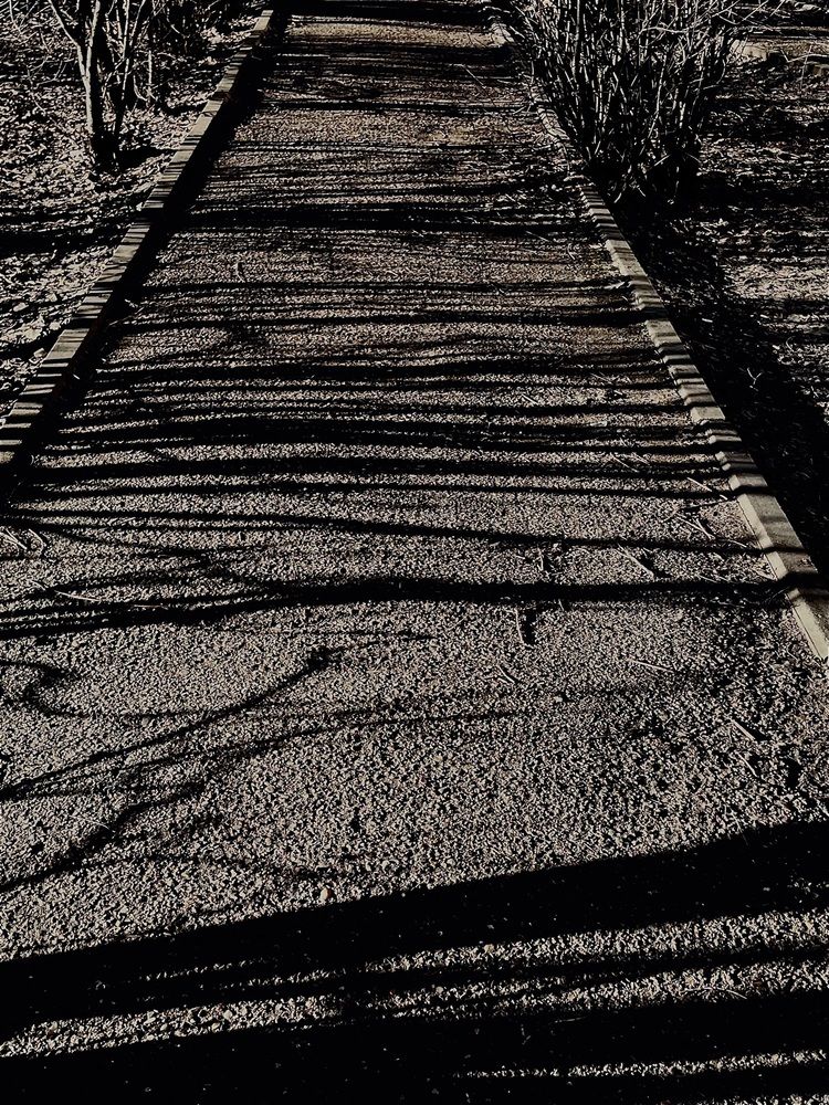 Photograph by Динара