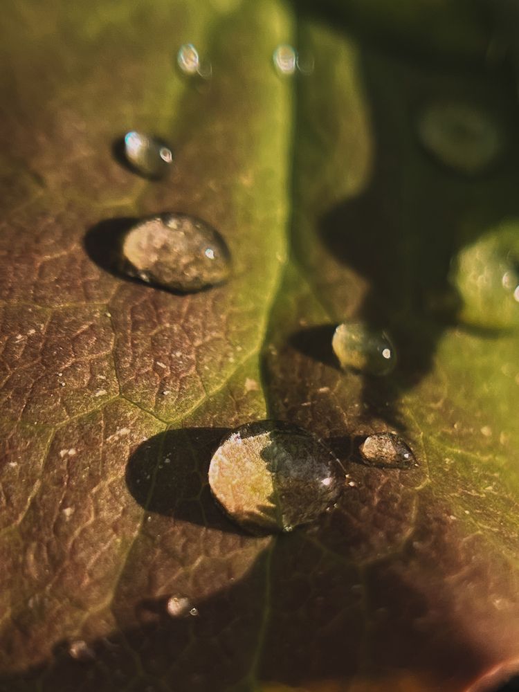 Фотография автора VICTORIA KAZAKOVA