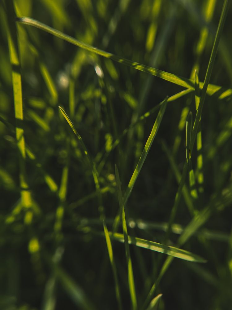 Фотография автора VICTORIA KAZAKOVA