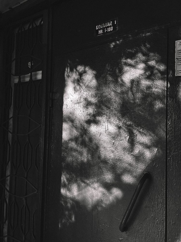 Фотография автора VICTORIA KAZAKOVA