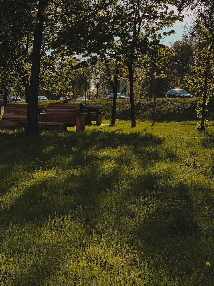 Фотография автора VICTORIA KAZAKOVA