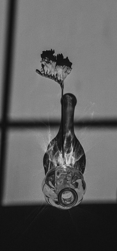 Photograph by Ксения Литвиненко