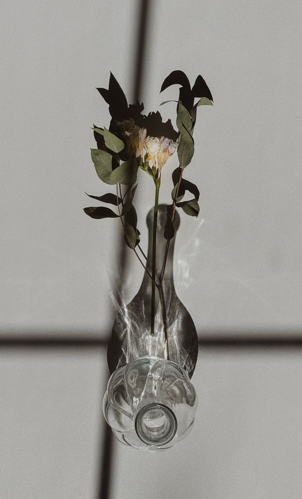 Photograph by Ксения Литвиненко