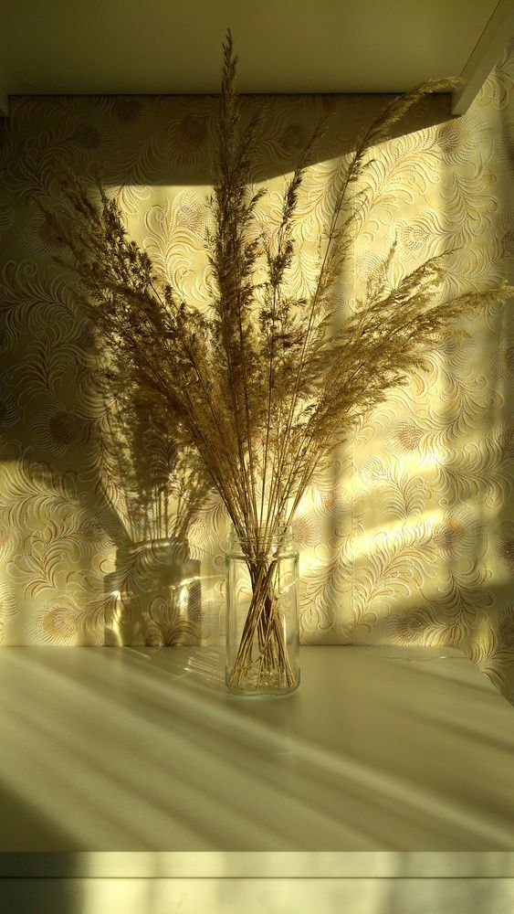 Photograph by Татьяна Гореленкова