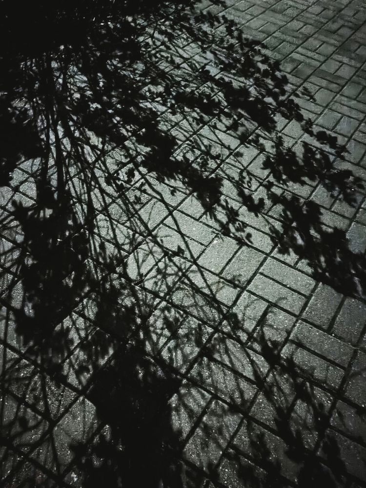 Evening shadow\'s play.