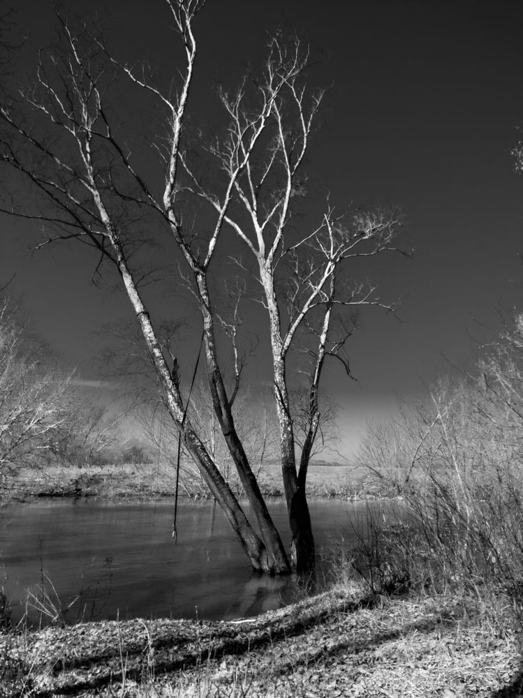 Photograph by Елена