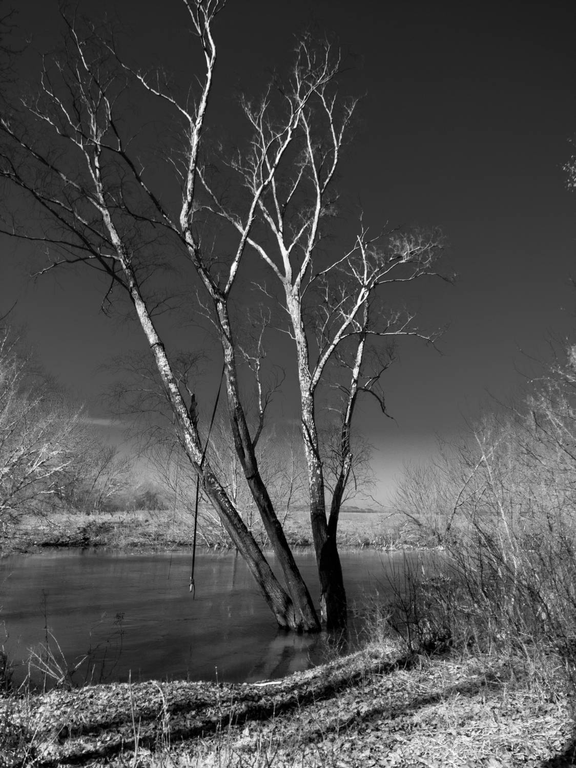 Фотография #13476176